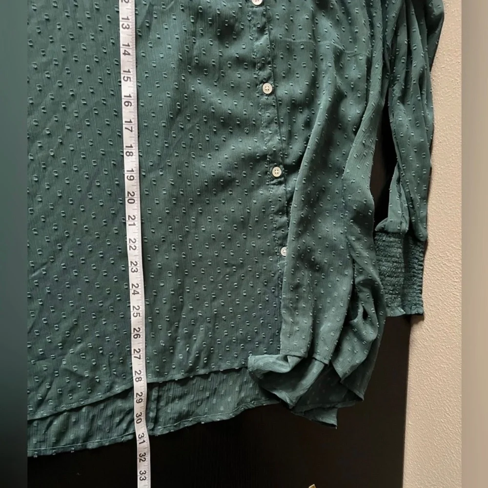 Caffe Marrakesh Sheer Button Up Swiss Dot‎ Long Sleeve Hunter Green Blouse 1X